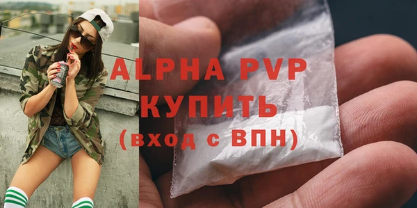 молекула духа Арсеньев