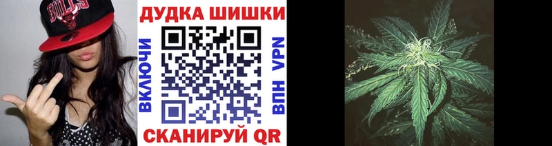 darknet телеграм Курган Канабис ГИДРОПОН
